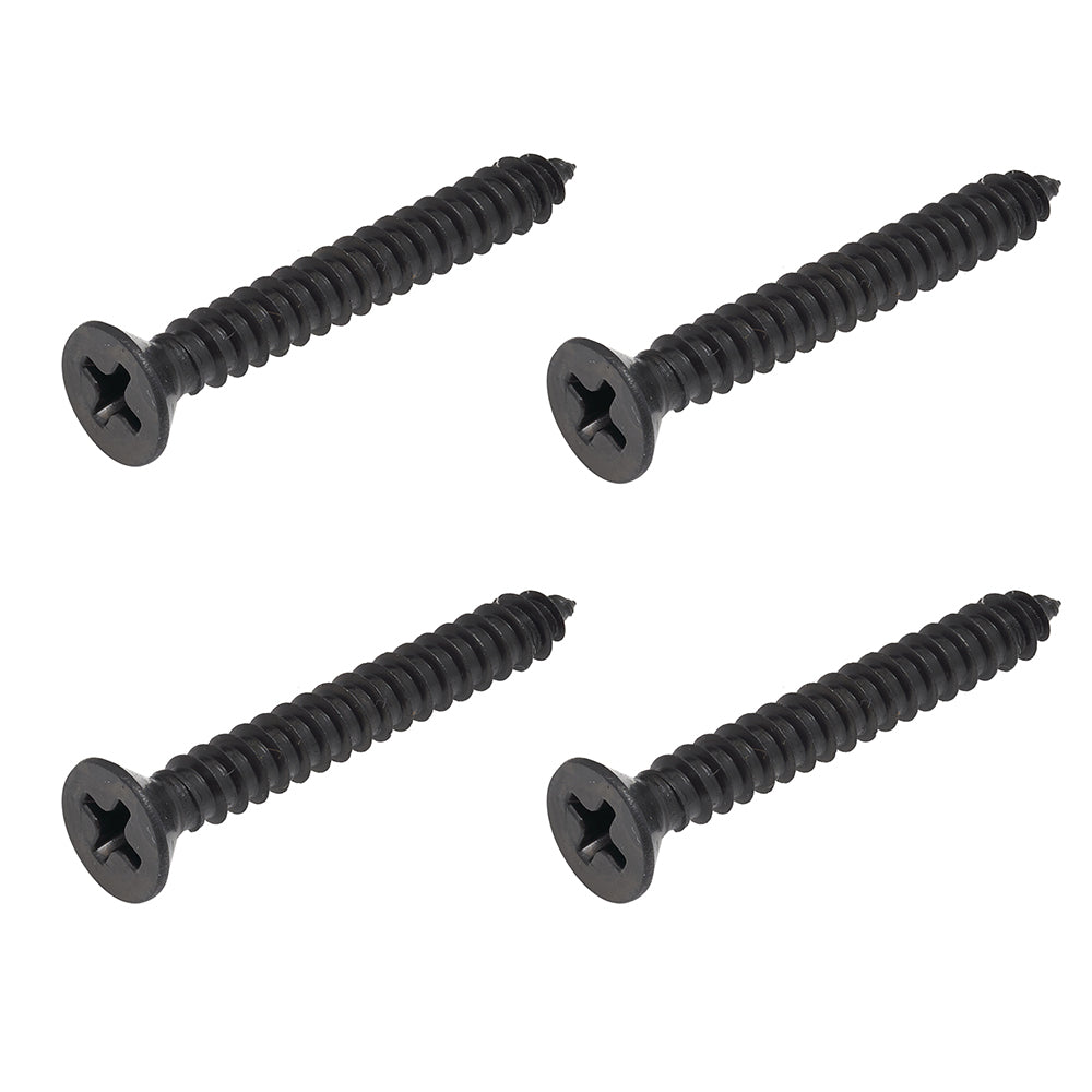 BlackEtch Self Tapping Screw CSK Head Phillips Drive 14g x 25mm (1) - 304 Grade Stainless Steel - 4 PACK for RHS Posts